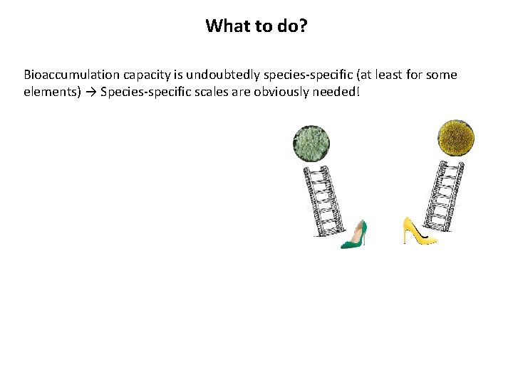 What to do? Bioaccumulation capacity is undoubtedly species-specific (at least for some elements) →