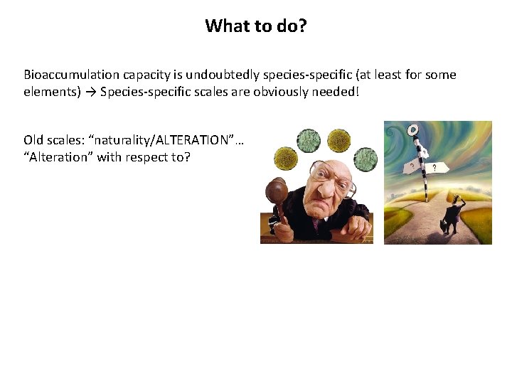 What to do? Bioaccumulation capacity is undoubtedly species-specific (at least for some elements) →