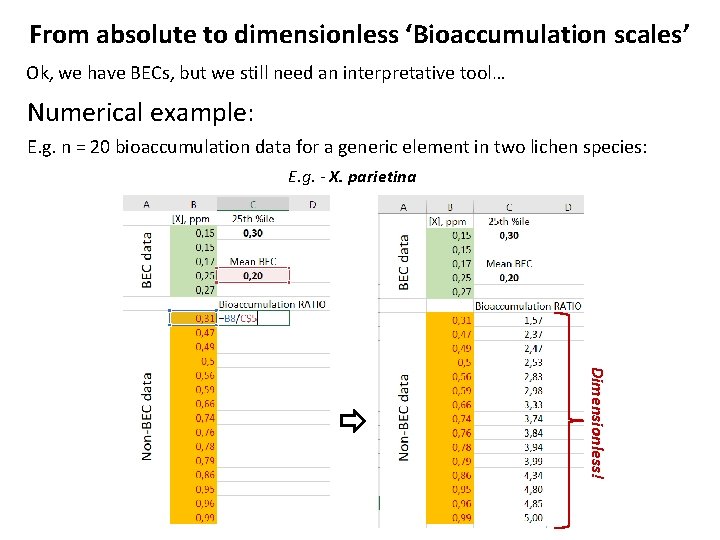 From absolute to dimensionless ‘Bioaccumulation scales’ Ok, we have BECs, but we still need