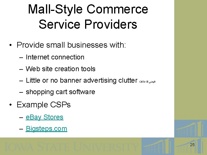 Mall-Style Commerce Service Providers • Provide small businesses with: – Internet connection – Web