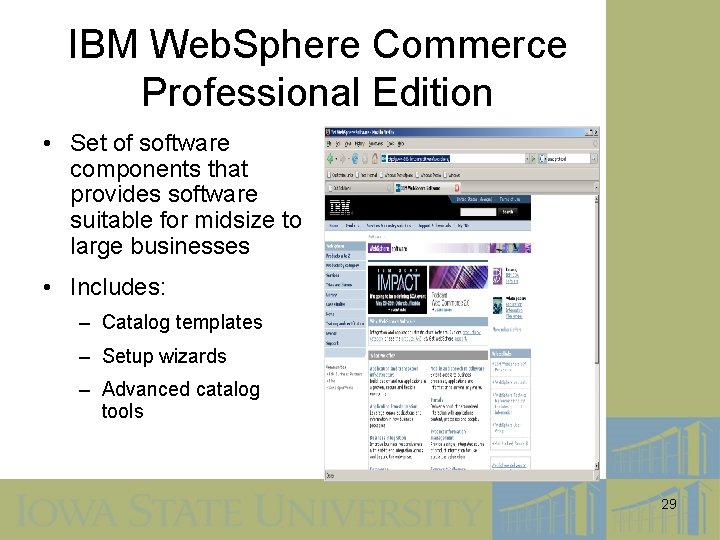 IBM Web. Sphere Commerce Professional Edition • Set of software components that provides software