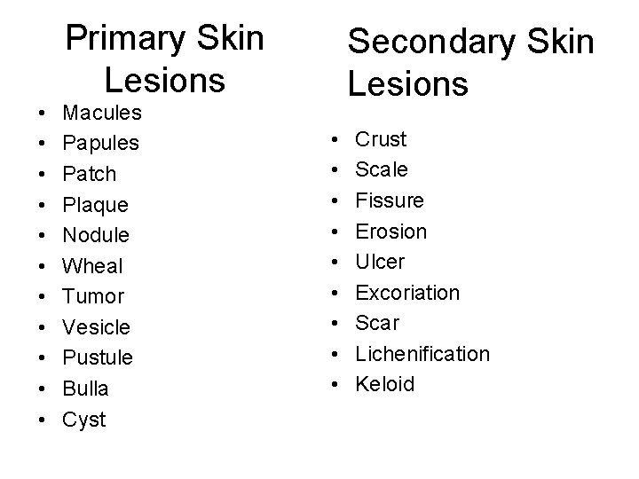 Primary Skin Lesions • • • Macules Papules Patch Plaque Nodule Wheal Tumor Vesicle