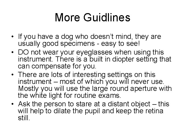 More Guidlines • If you have a dog who doesn’t mind, they are usually