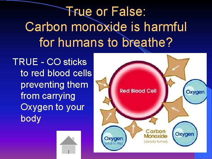 True or False: Carbon monoxide is harmful for humans to breathe? TRUE - CO