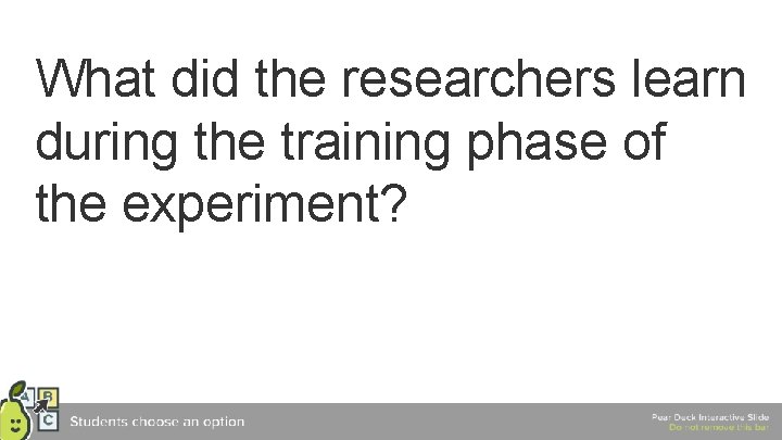 What did the researchers learn during the training phase of the experiment? 