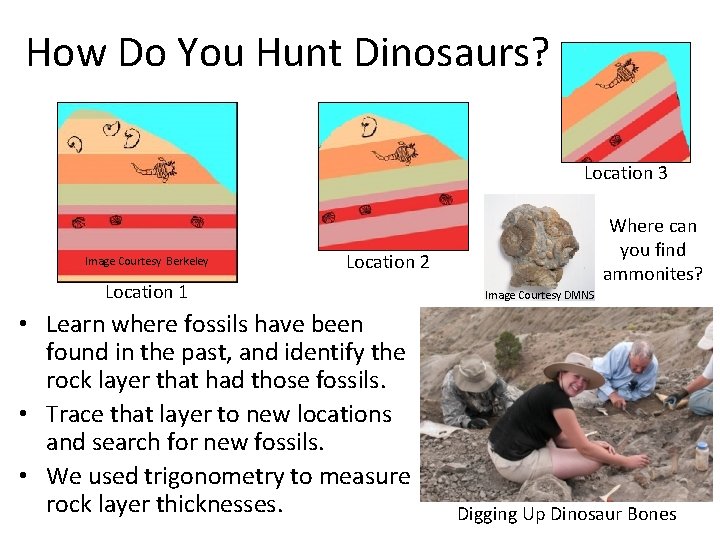 How Do You Hunt Dinosaurs? Location 3 Image Courtesy Berkeley Where can you find