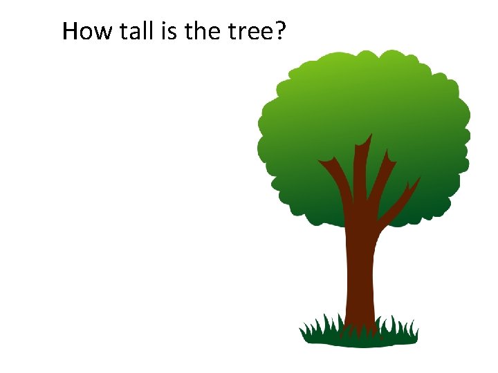 How tall is the tree? 