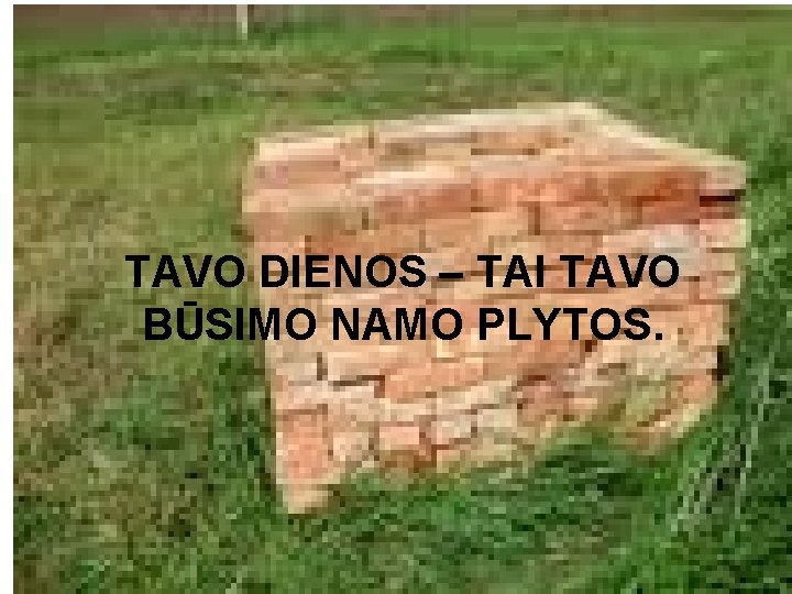 TAVO DIENOS – TAI TAVO BŪSIMO NAMO PLYTOS. 