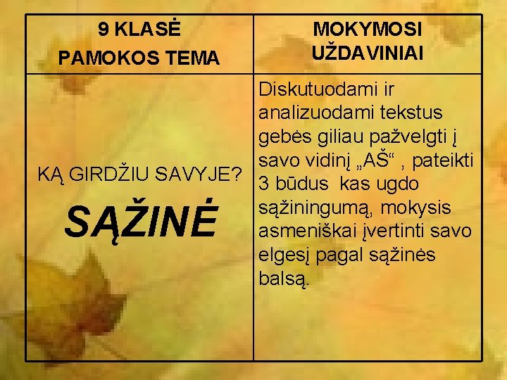 9 KLASĖ PAMOKOS TEMA MOKYMOSI UŽDAVINIAI Diskutuodami ir analizuodami tekstus gebės giliau pažvelgti į