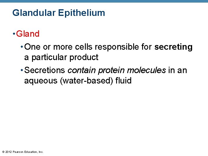 Glandular Epithelium • Gland • One or more cells responsible for secreting a particular