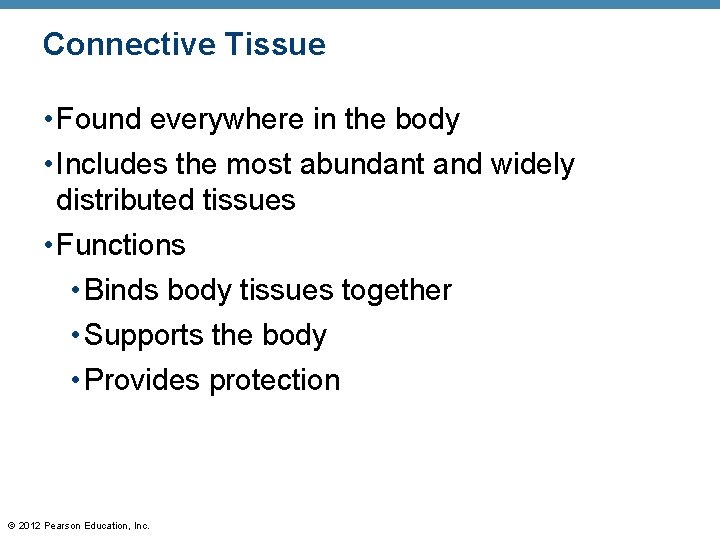 Connective Tissue • Found everywhere in the body • Includes the most abundant and