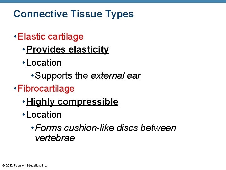 Connective Tissue Types • Elastic cartilage • Provides elasticity • Location • Supports the