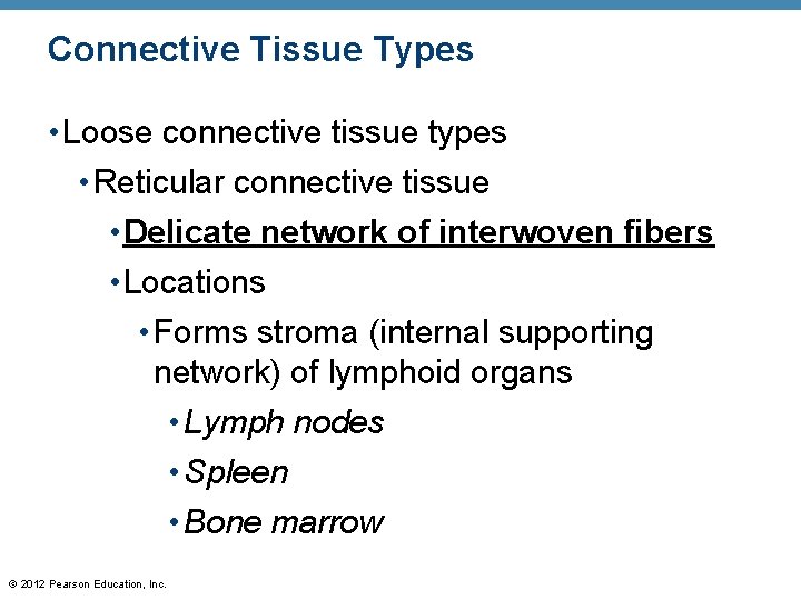 Connective Tissue Types • Loose connective tissue types • Reticular connective tissue • Delicate