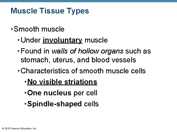 Muscle Tissue Types • Smooth muscle • Under involuntary muscle • Found in walls