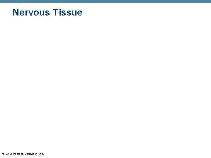 Nervous Tissue © 2012 Pearson Education, Inc. 