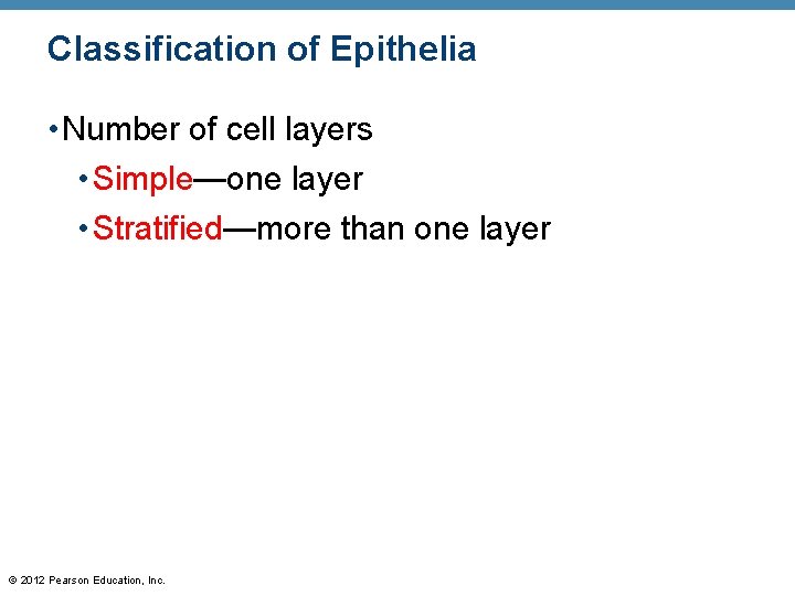 Classification of Epithelia • Number of cell layers • Simple—one layer • Stratified—more than