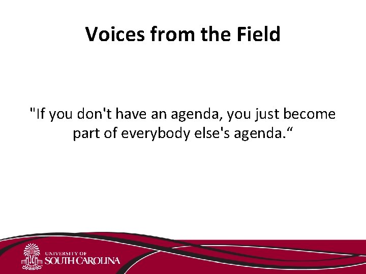 Voices from the Field "If you don't have an agenda, you just become part