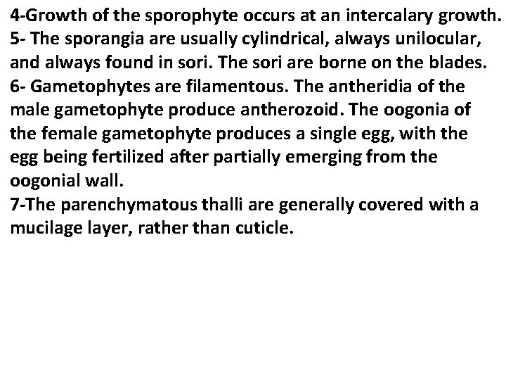 4 -Growth of the sporophyte occurs at an intercalary growth. 5 - The sporangia 4 -Growth of the sporophyte occurs at an intercalary growth. 5 - The sporangia