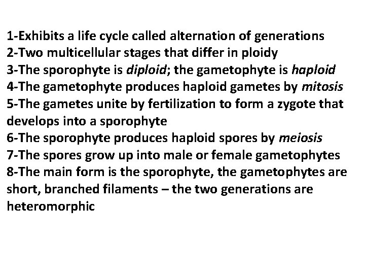 1 -Exhibits a life cycle called alternation of generations 2 -Two multicellular stages that 1 -Exhibits a life cycle called alternation of generations 2 -Two multicellular stages that