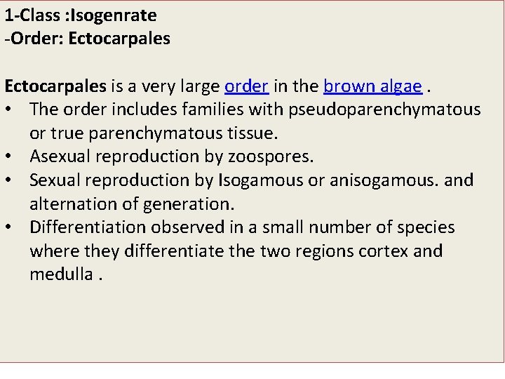 1 -Class : Isogenrate -Order: Ectocarpales is a very large order in the brown 1 -Class : Isogenrate -Order: Ectocarpales is a very large order in the brown