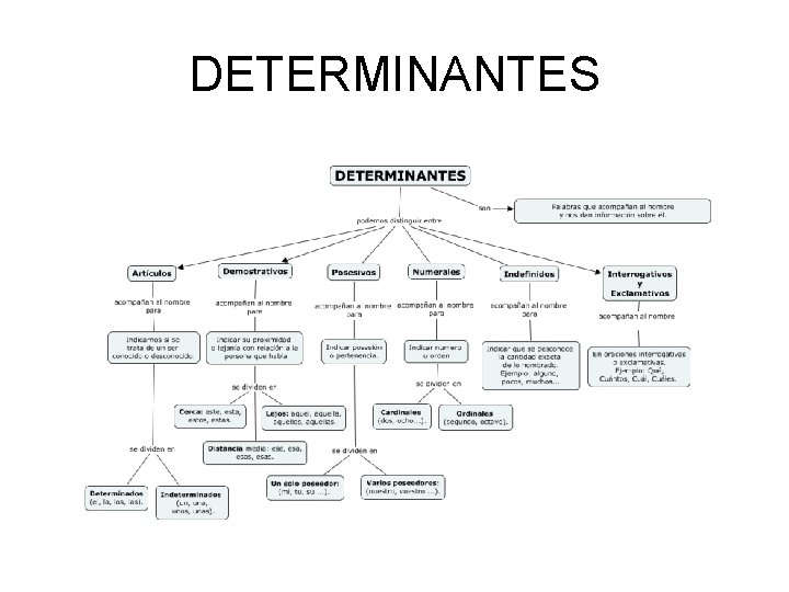 DETERMINANTES 