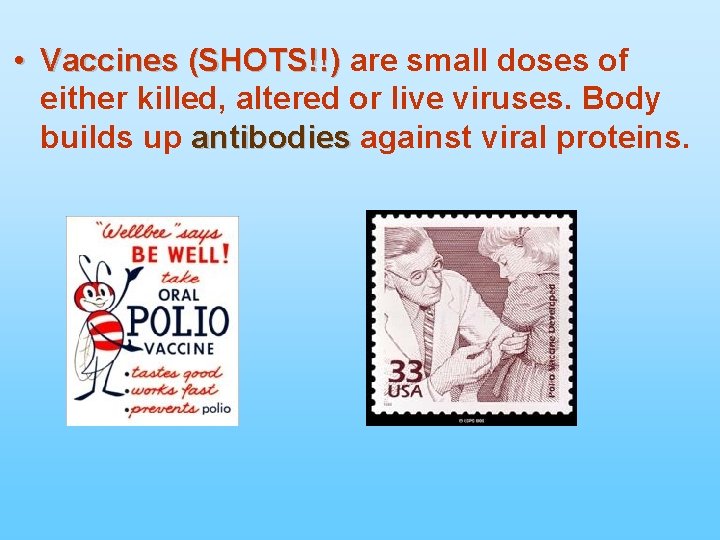  • Vaccines (SHOTS!!) are small doses of Vaccines (SHOTS!!) either killed, altered or