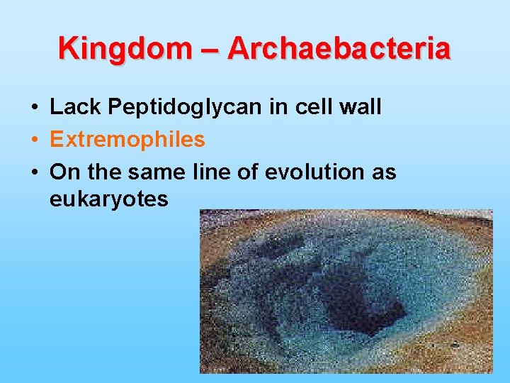 Kingdom – Archaebacteria • Lack Peptidoglycan in cell wall • Extremophiles • On the