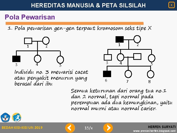 HEREDITAS MANUSIA & PETA SILSILAH X Pola Pewarisan 1. Pola pewarisan gen-gen terpaut kromosom