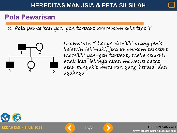 HEREDITAS MANUSIA & PETA SILSILAH X Pola Pewarisan 2. Pola pewarisan gen-gen terpaut kromosom