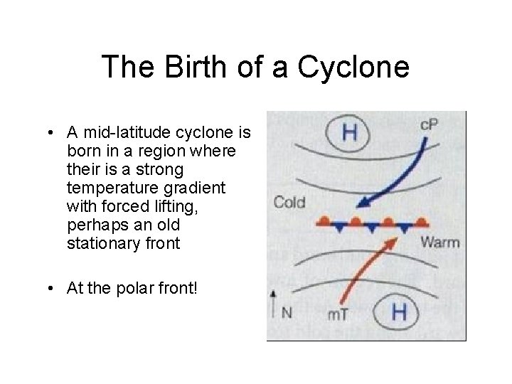 The Birth of a Cyclone • A mid-latitude cyclone is born in a region