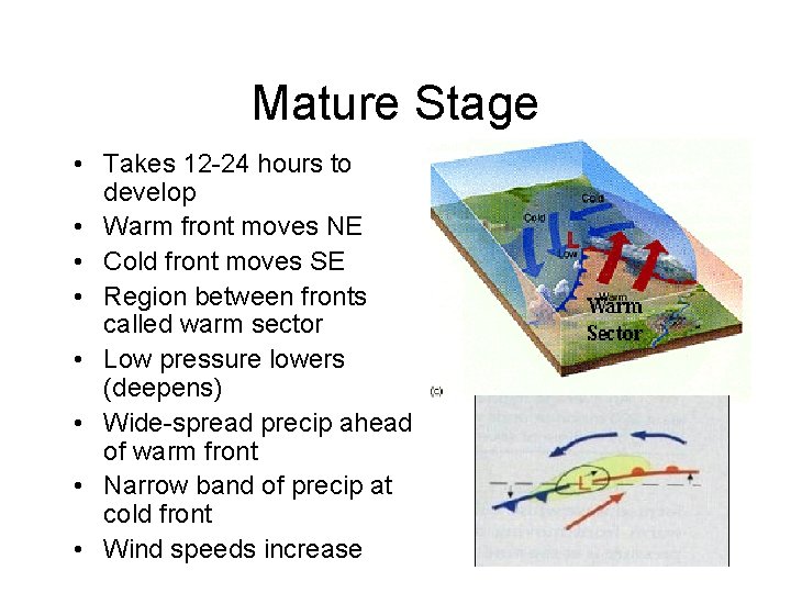 Mature Stage • Takes 12 -24 hours to develop • Warm front moves NE