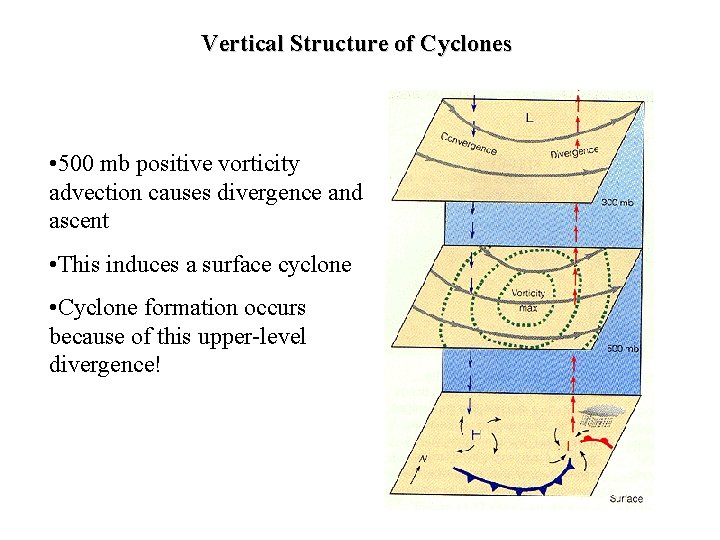 Vertical Structure of Cyclones • 500 mb positive vorticity advection causes divergence and ascent