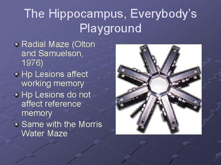 The Hippocampus, Everybody’s Playground Radial Maze (Olton and Samuelson, 1976) Hp Lesions affect working