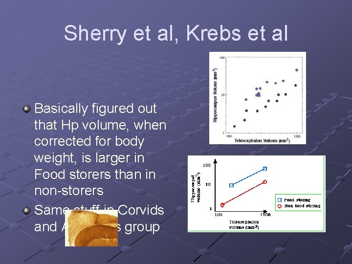 Sherry et al, Krebs et al Basically figured out that Hp volume, when corrected