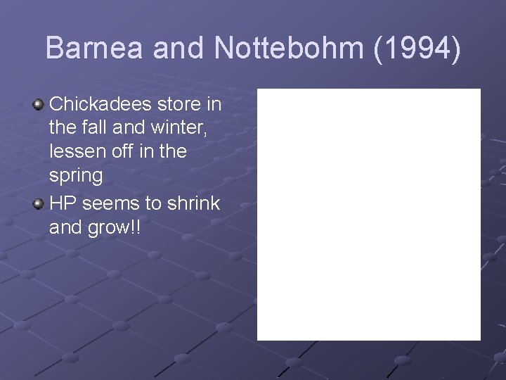 Barnea and Nottebohm (1994) Chickadees store in the fall and winter, lessen off in