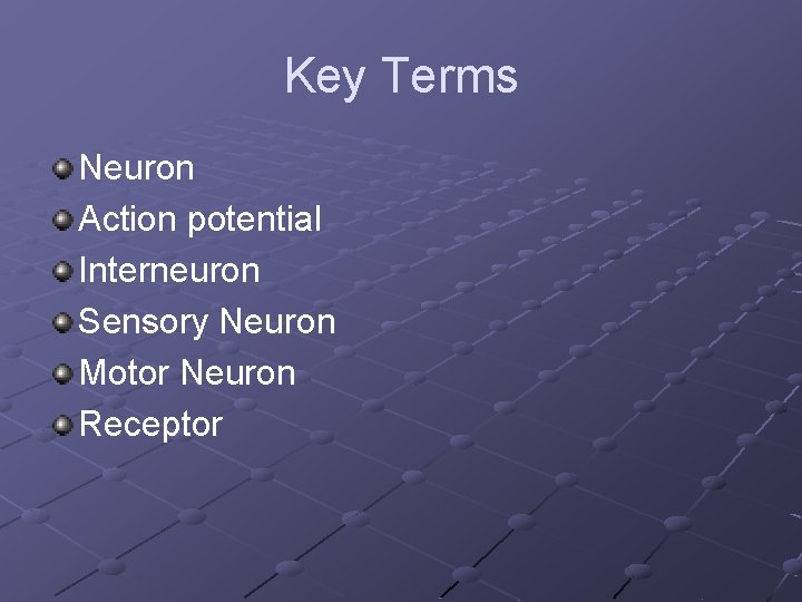 Key Terms Neuron Action potential Interneuron Sensory Neuron Motor Neuron Receptor 