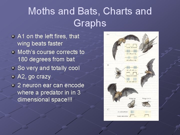 Moths and Bats, Charts and Graphs A 1 on the left fires, that wing