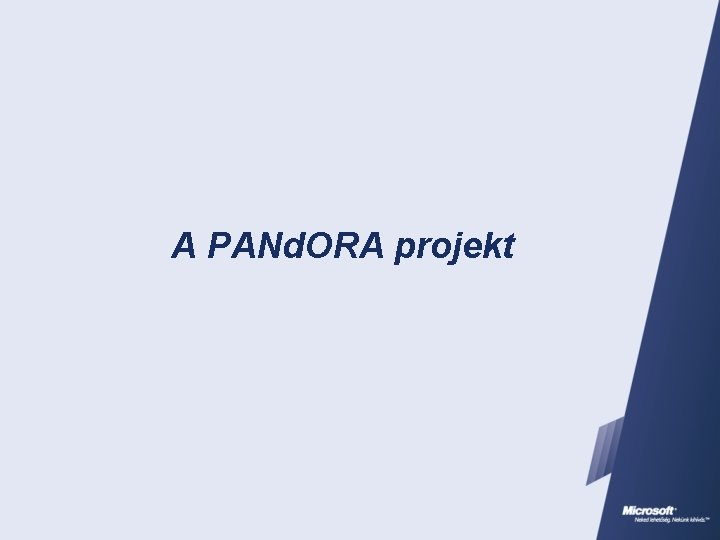 A PANd. ORA projekt 