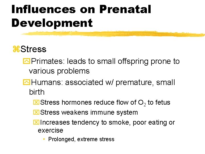 Influences on Prenatal Development z. Stress y. Primates: leads to small offspring prone to