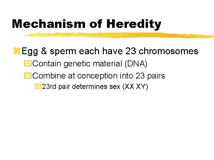 Mechanism of Heredity z. Egg & sperm each have 23 chromosomes y. Contain genetic