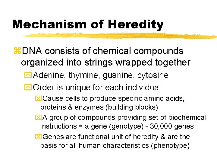 Mechanism of Heredity z. DNA consists of chemical compounds organized into strings wrapped together
