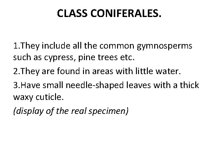 CLASS CONIFERALES. 1. They include all the common gymnosperms such as cypress, pine trees