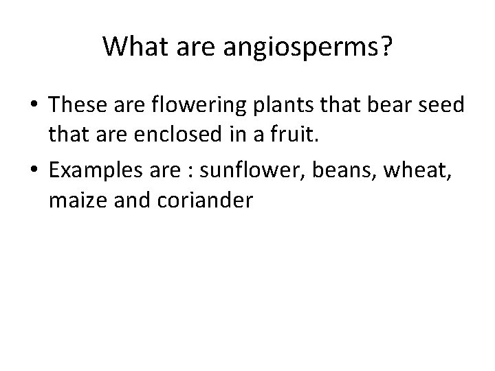 What are angiosperms? • These are flowering plants that bear seed that are enclosed