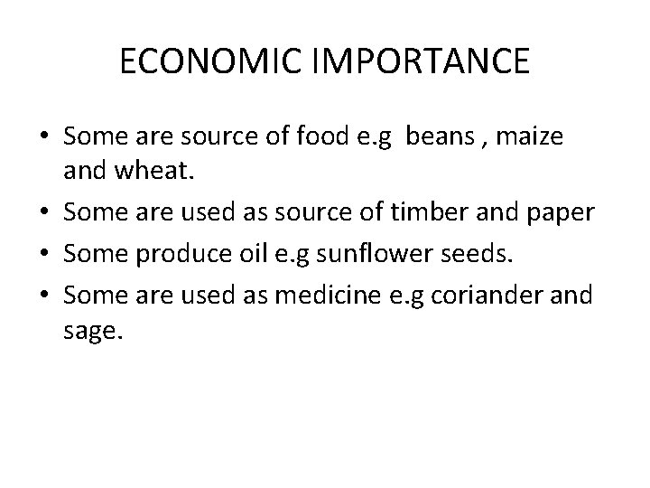 ECONOMIC IMPORTANCE • Some are source of food e. g beans , maize and