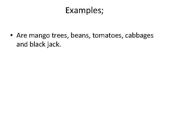 Examples; • Are mango trees, beans, tomatoes, cabbages and black jack. 