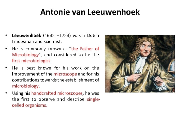 Antonie van Leeuwenhoek • Leeuwenhoek (1632 – 1723) was a Dutch tradesman and scientist.