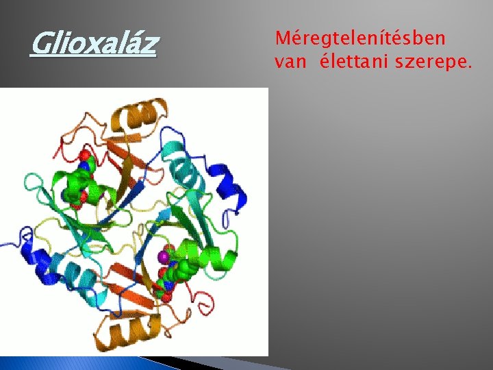 Glioxaláz Méregtelenítésben van élettani szerepe. Glioxaláz Méregtelenítésben van élettani szerepe.