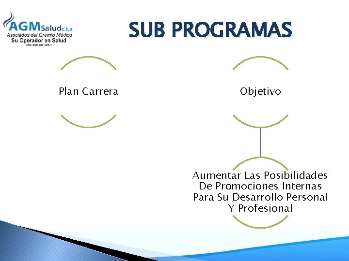 SUB PROGRAMAS Plan Carrera Objetivo Aumentar Las Posibilidades De Promociones Internas Para Su Desarrollo