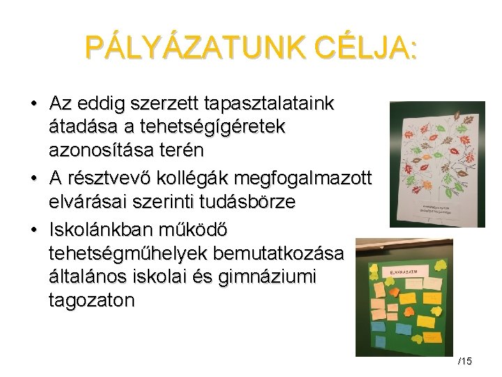 PÁLYÁZATUNK CÉLJA: • Az eddig szerzett tapasztalataink átadása a tehetségígéretek azonosítása terén • A