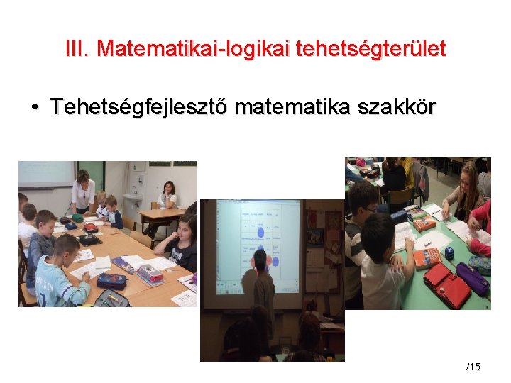 III. Matematikai-logikai tehetségterület • Tehetségfejlesztő matematika szakkör /15 